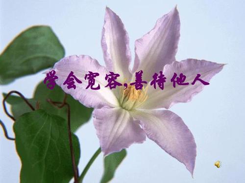 对他人友善就是帮助自己