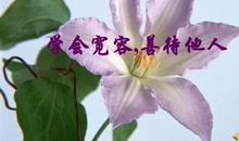 善待他人就是帮助自己