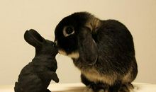 忘不了那宽厚的肩膀