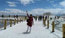 友谊之花的绽放