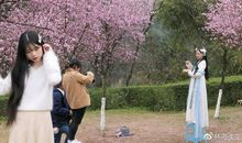 深红哥和浅红妹