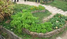 一次美妙的农场之行