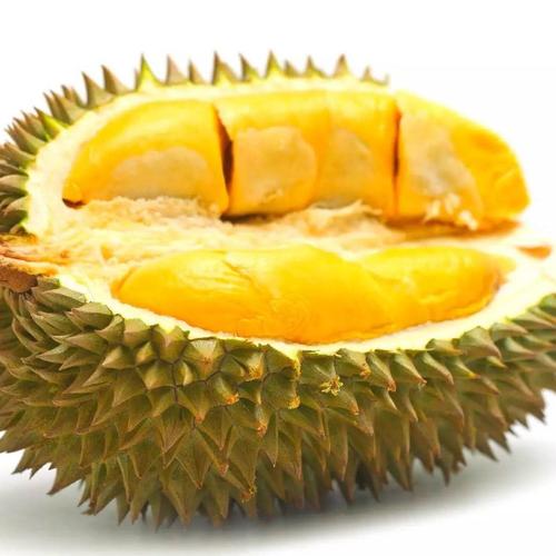 我最喜欢的水果榴莲