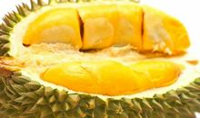 我喜欢的水果榴莲