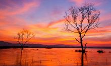 美丽的晨景_400字