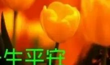 潇洒快乐的地方