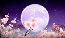 记忆深处的月光