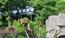 美丽生态动物园