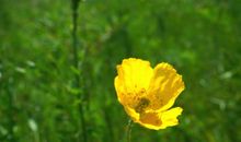 如果可以，我希望改变