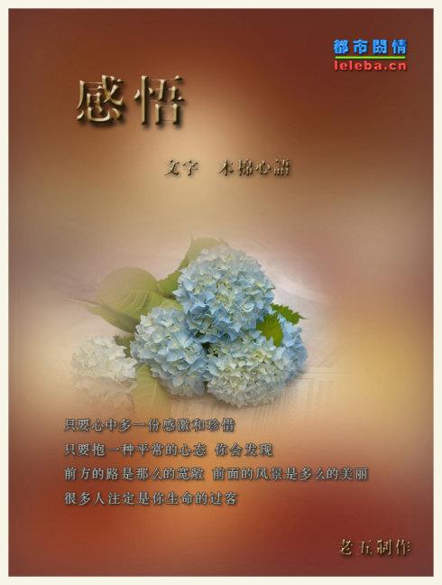 第三年我不后悔