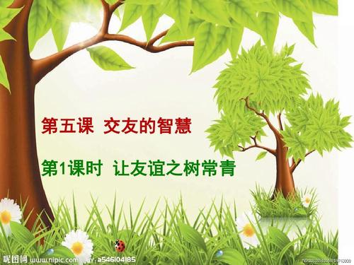 友谊树是常绿的