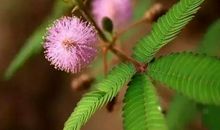 流血也是一种成长