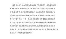 写景的作文400字