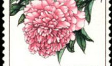 一枚独特的邮票