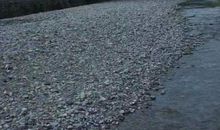 故乡——魂牵梦萦的地方