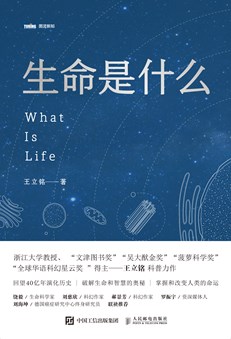 生活是什么？
