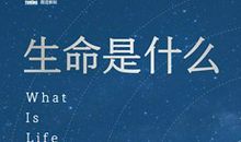 生命是什么？