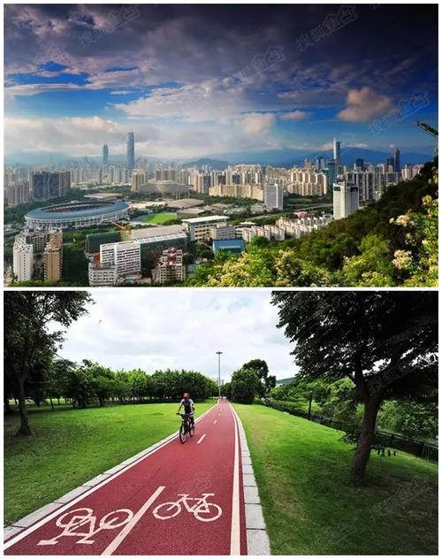 在春风中奔跑