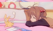 请相信诚实给我的力量