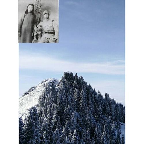 想念笑声的日子