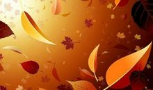 劳动成就美丽人生