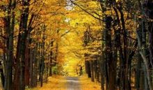 坚持梦想立志成才演讲稿