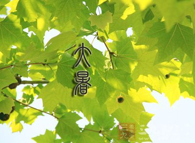高温中的植物