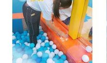 调皮可爱的球球