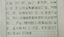 《暖春》观后感