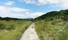 走在乡间的大路上