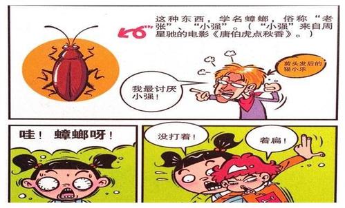 对抗“小强”