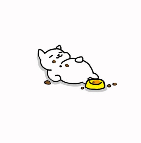 贪婪的猫减肥