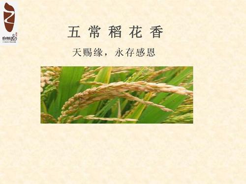 让感恩永远存在