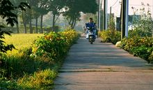 我的生活充满阳光