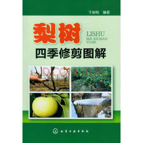 梨树的四个季节