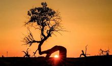 “生命”没有尽头