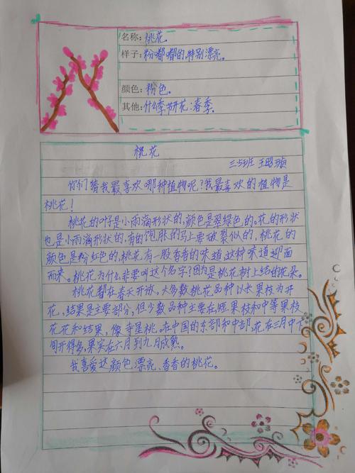 我厂朋友三年级上册300字