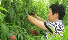 田园生活乐趣多