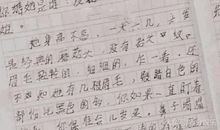 我的奇思妙想作文500字四年级