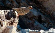 这是一次惊心动魄的尝试