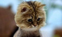 我期待的星期天