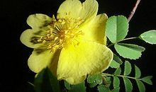 人生路上多磨难