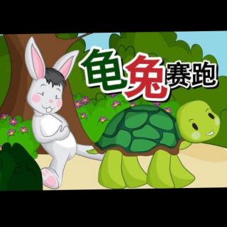 乌龟和野兔第二次