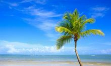 我的海滩我的梦