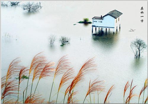 柿子火反映了西流的波涛和秋天，and叶在月景后面