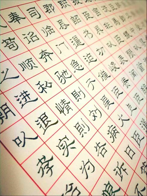 黑鸟儿外遇，终于愿意乞求支持