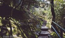 那条无尽头的小路