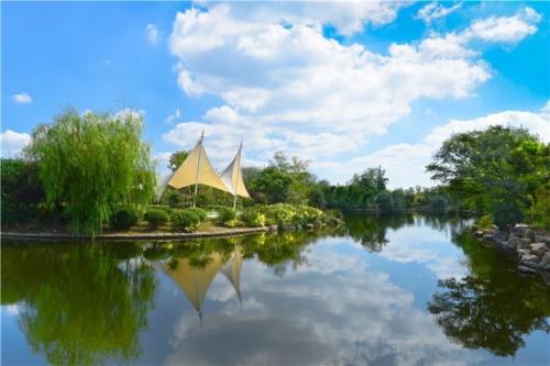 风景如画的湿地公园