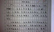 难忘的小学生活作文700字