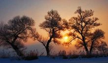 阳光也是一种语言